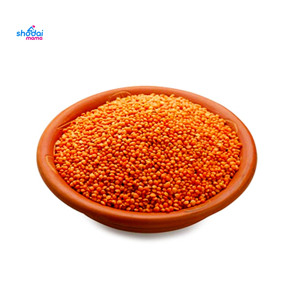 Mosarir Dal Cikon 1kg